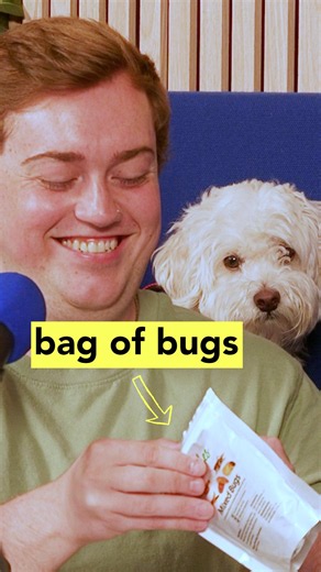 Truth or Bug - Part 2