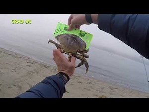 Dungeness Crabbing on Dillon Beach 12/05/2021