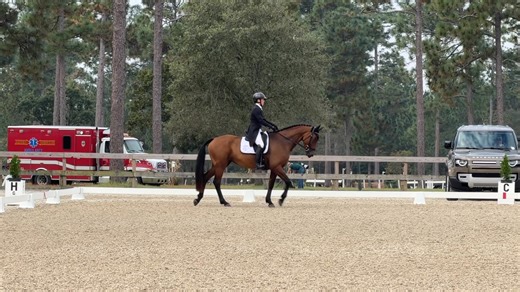 HORSE SHOW VLOG! Competition footage plus commentary on Lissavorra Quality's 8th place performance in the CCI 4* -S division at the 2025 Stable View Oktoberfest event in Aiken, SC. Join me on Patreon for ad-free video, exclusive content, live Q&A, and more! - https://www.patreon.com/WallaceEventing #Horse #Equestrian #Eventing | Elisa Wallace Eventing