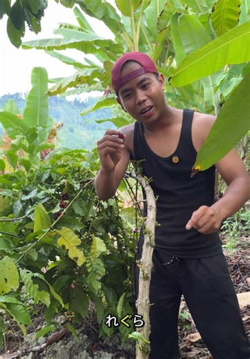 Kehidupan santai ku di Indonesia