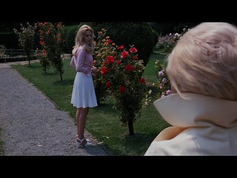 The Image 1975 'The Roses in the Bagatelle Gardens' 4K HDR