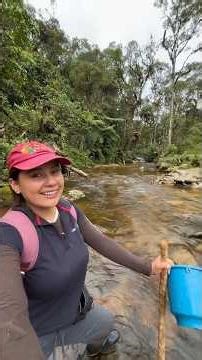 No vas a a creer las piedras precisas que hallé en este lugar mágico 😱💎