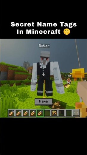 Secret Name tag names in Minecraft