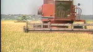 Colonial Colonial | Making Rice in Georgia | Georgia Stories