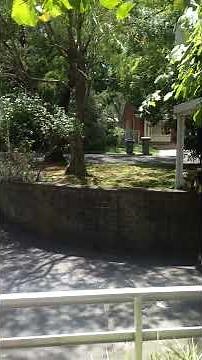 THYLACINE SIGHTING SOUTH AUSTRALIA, 2016 - Untreated footage