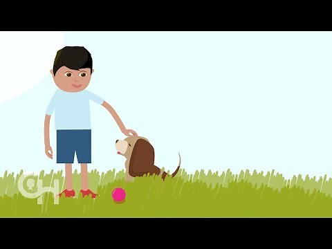 How CAR T-Cell Therapy Works: An Animation for Kids