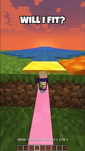 Minecraft shrink mod