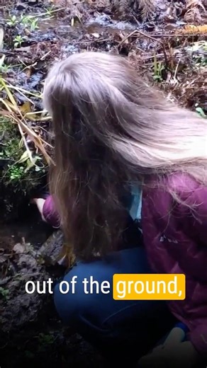 This Water Filter Actually Works #survival #waterfilter