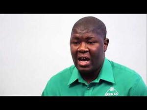 Maize Planting Establishment