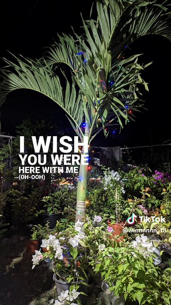 right now #lyrics #onedirection