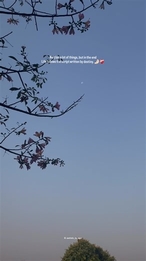 We plan a lot if things, but in the end Life follows the script written by destiny. 🤌🏻❤️‍🩹 #lahore #life #destiny #lahore #fas