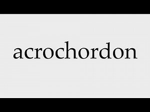 How to Pronounce acrochordon