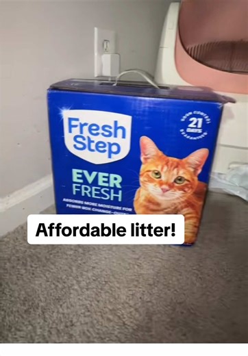 This also was a favorite litter since it isn’t too dusty! We have since switched back to tofu litter! But an affordable option is this fresh step litter! #complimentary #FreshStep #FreshStepPartner #IsItCrazyorIsItLove @influenster @@Fresh Step