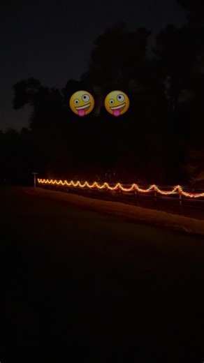 58 reactions · 16 comments | That’s right we’re the crazy household, putting our Christmas lights up already, even more next week 藍藍 #EarlyBird #FamilyFun #gold #wishlist @highlight | Jonathan William Mcdonald | Facebook