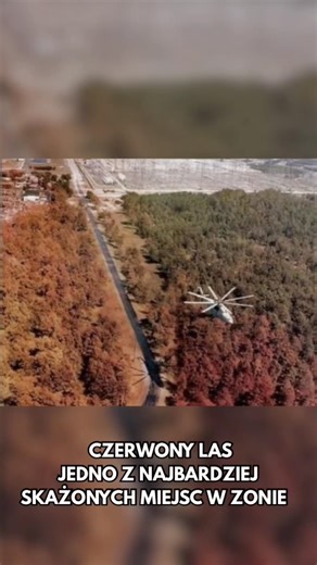 Czerwony Las – jedno z najbardziej skażonych miejsc w Czarnobylskiej strefie wykluczenia