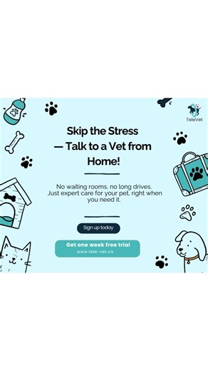 Skip the vet visit stress! Get expert pet care from home with TeleVet. One week free trial! [link to website] #TeleVet #PetCare #Veterinary #Convenience