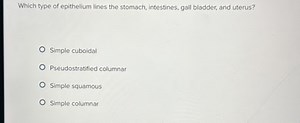 Which type of epithelium lines the stomach, intestines, gall bl... | Filo