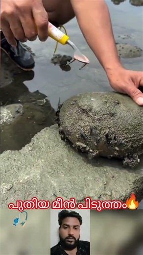പുതിയ മീൻ പിടുത്തം #mallutraveler#fishingfreaks#shortsX#mallu#malayalam#m4tech #fish #funny #vlogger
