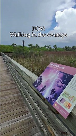 POV: Walking trough the swamps of Florida 🇺🇸 #swamps #usa #everglades
