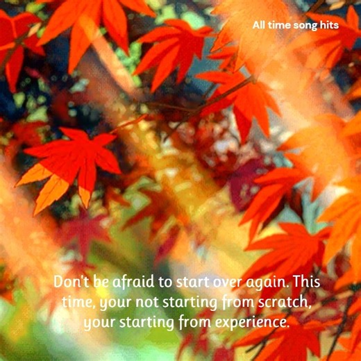 139K views · 6K reactions | Don't be afraid to start over again曆 | All time song hits | Facebook