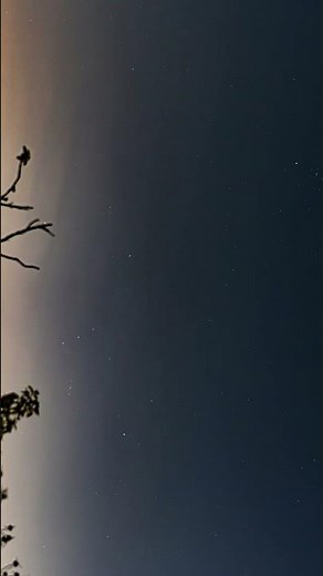 I captured a 2 hours Time-Lapse of Orion constellation✨ from Bortle - 8 Skies.