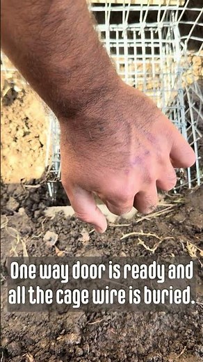 Animal-Proofing a Deck the Right Way 🛠️🐾 (Trench + Wire + One-Way Door)