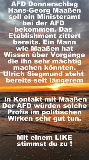 AFD Donnerschlag#politik #afd , #shorts , #shortsfeed, #shortvideo, #foryou, #fyp ,#short ,#deutsch
