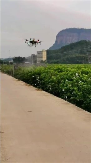 Amazing Crop Spraying Drone in Action! | Precision Agriculture Revolution