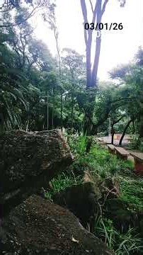 03/01/26 Meditacao Lua Cheia em Cancer