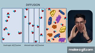 Diffusion Weighted Imaging (DWI) and Apparent Diffusion Coefficient (ADC) | MRI Physics Course #22 on Make a GIF