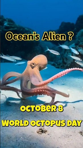 The Ocean's Alien : Crazy Octopus facts | World Octopus Day || #octopus #october #ocean #alien