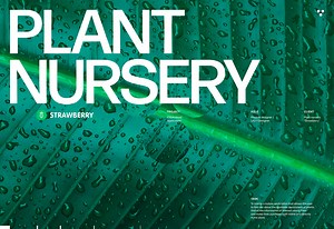 Plant nursery app - Eugene Sokolovski