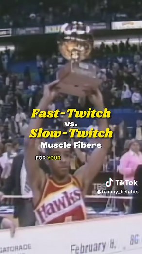 Understanding Muscle Fiber Types for Athletic Performance