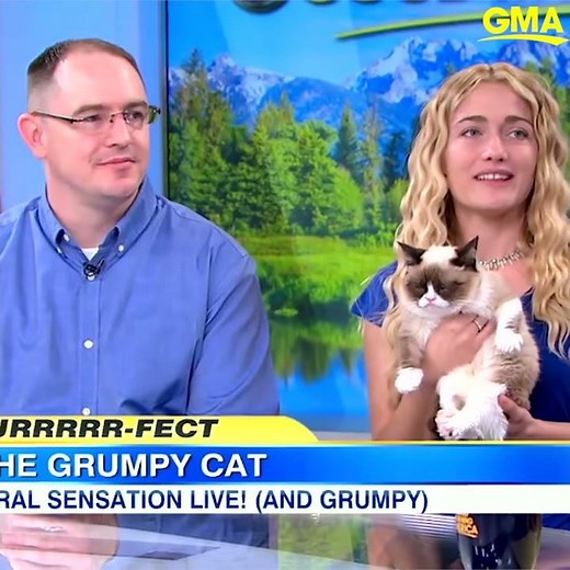 Internet sensation Grumpy Cat has died at age 7 | GMA Digital