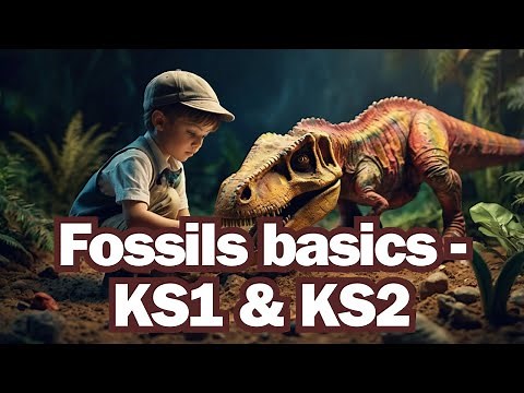 The basics of fossils for KS1 & KS2