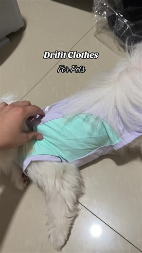 Drifit clothes for pets