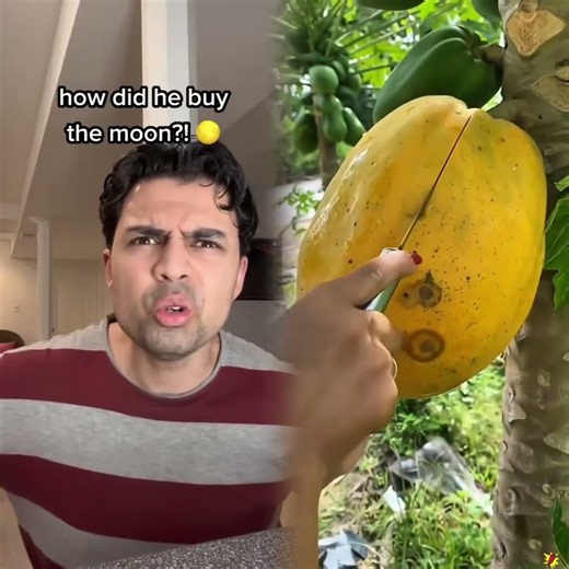 When MrBeast Buys The Moon 🌕😳 #shorts #funny