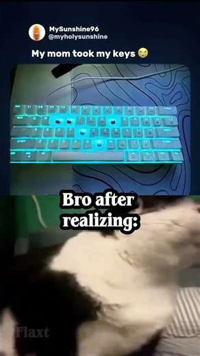 Use this sound 🐱💻