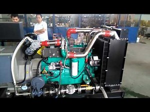 testing of CNG generator-1