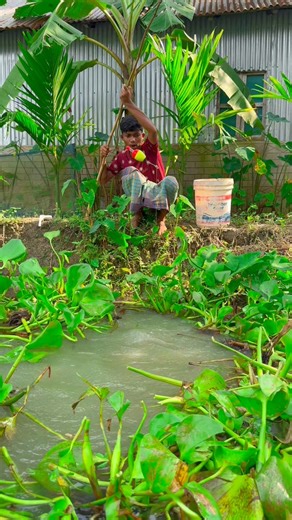 Very big fish #fishing #bigfish #fish | M J vai