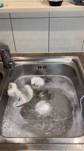 Tired of washing small clothes by hand? This 2-in-1 Mini Washing Machine is the tiny gadget every home needs! Just drop your clothes → Press start → Done! Perfect for socks, hankies, baby clothes, makeup sponges & more. ✔ Portable ✔ Low Noise ✔ Water Saving ✔ Quick cleaning Make your daily routine easier | Avero Mart