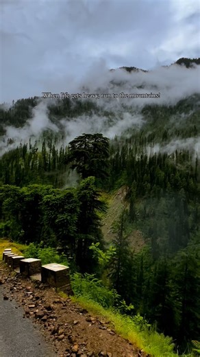 K-2 Adventure Club on Instagram: "Mountains are calling 📞 🏔️🇵🇰❤️ . . . 📍 Nagdar road Baboon valley Azad Kashmir 🇵🇰 . . . You can join us on our every week trips to different destinations in Pakistan. . . 𝟑 𝐃𝐚𝐲 𝐭𝐫𝐢𝐩𝐬: 𝐃𝐞𝐩𝐚𝐫𝐭𝐮𝐫𝐞 𝐨𝐧 𝐌𝐨𝐧𝐝𝐚𝐲 & 𝐓𝐡𝐮𝐫𝐬𝐝𝐚𝐲 𝐟𝐫𝐨𝐦 𝐋𝐚𝐡𝐨𝐫𝐞 & 𝐈𝐬𝐥𝐚𝐦𝐚𝐛𝐚𝐝 𝟥 𝖣𝖺𝗒𝗌 𝗍𝗋𝗂𝗉 𝗍𝗈 𝖭𝖾𝖾𝗅𝗎𝗆 𝗏𝖺𝗅𝗅𝖾𝗒 𝖪𝖺𝗌𝗁𝗆𝗂𝗋 𝟥 𝖽𝖺𝗒𝗌 𝗍𝗋𝗂𝗉 𝗍𝗈 𝖲𝗐𝖺𝗍 𝗄𝖺𝗅𝖺𝗆 ＆ 𝖬𝖺𝗅𝖺𝗆𝗃𝖺𝖻𝖺 𝟓 𝐃𝐚𝐲 𝐭𝐫𝐢𝐩𝐬: 𝐃𝐞𝐩𝐚𝐫𝐭