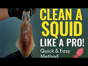 How to Clean a Squid Like a Pro – Quick & Easy Method!!