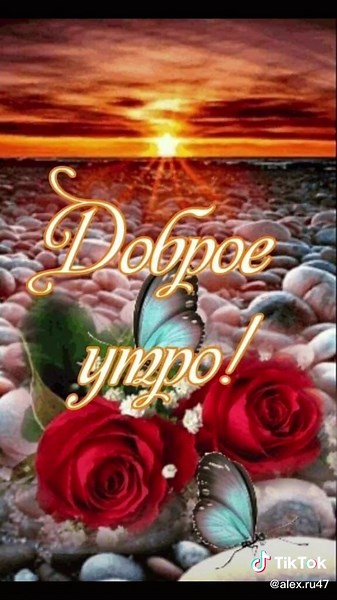 alex.ru47Саша on TikTok