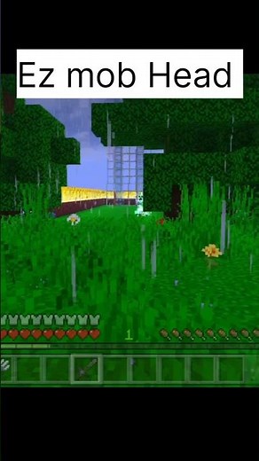 🎮 How to Get MOB HEADS Easily in Minecraft! | Simple Guide 💀 🔥