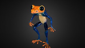 Frog Character - 3D model by d4psa