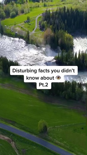 Very disturbing 😳 #facts #disturbingfacts #disturbingvideos #scary #fyp