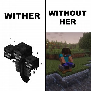 Wither and Without Her - Minecraft Memes #minecraft #memes #gaming | Minecraft Daily Videos