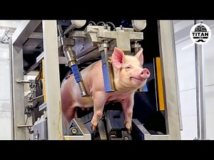 Mind-blowing Machines Operating At An Insane Level | The Most Satisfying Factory Tech! #15