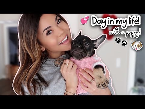 Day in My Life with my Puppy!! (Q&A, Dog shopping & Meeting Cookie!)
